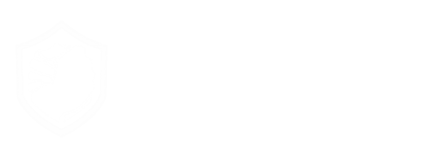 Task Force for Democracy