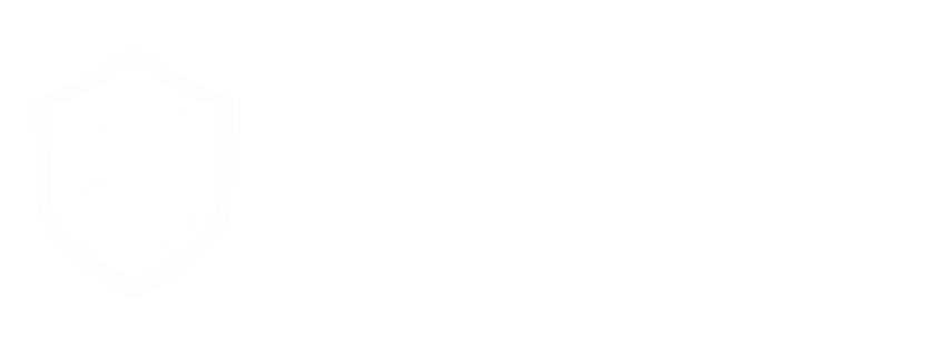Task Force for Democracy